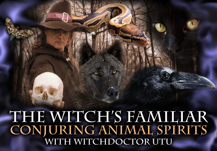 The Witches Familiar: Conjuring Animal Spirits